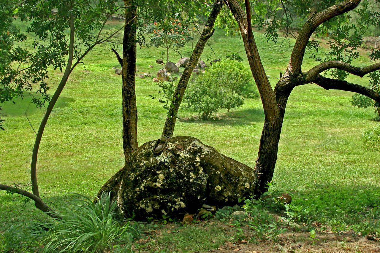 Villa Hawaii Island Retreat At Ahu Pohaku Ho'Omaluhia Kapaau Exterior foto